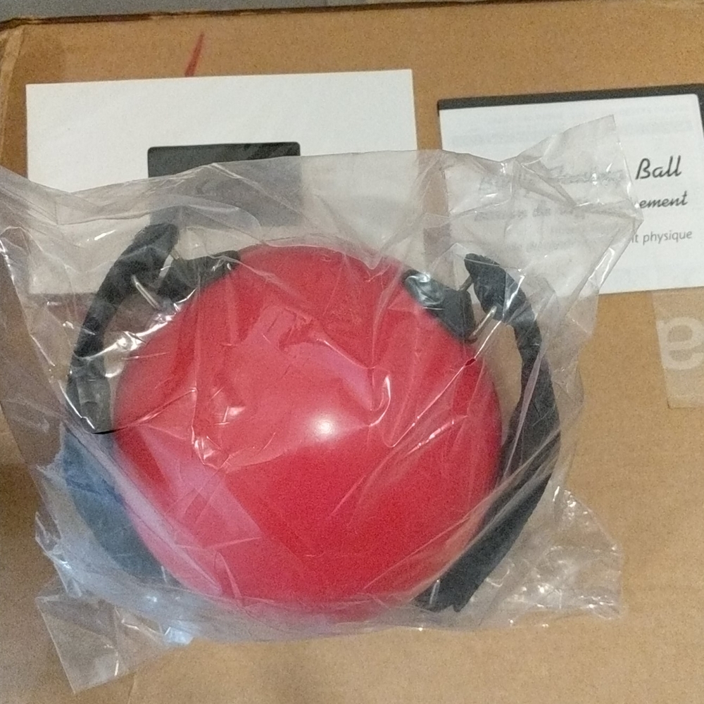 BODY TONING BALL FITNESS EXERCISE BALL - Picture 3 of 5